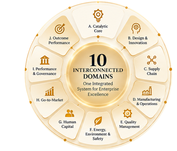 The ten interconnected domains of the Lean Nervous System
